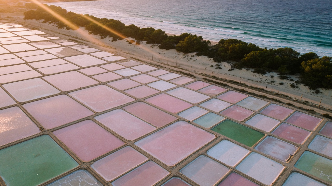 Ses Salines, heritage landscape under pressure from the modern island.
